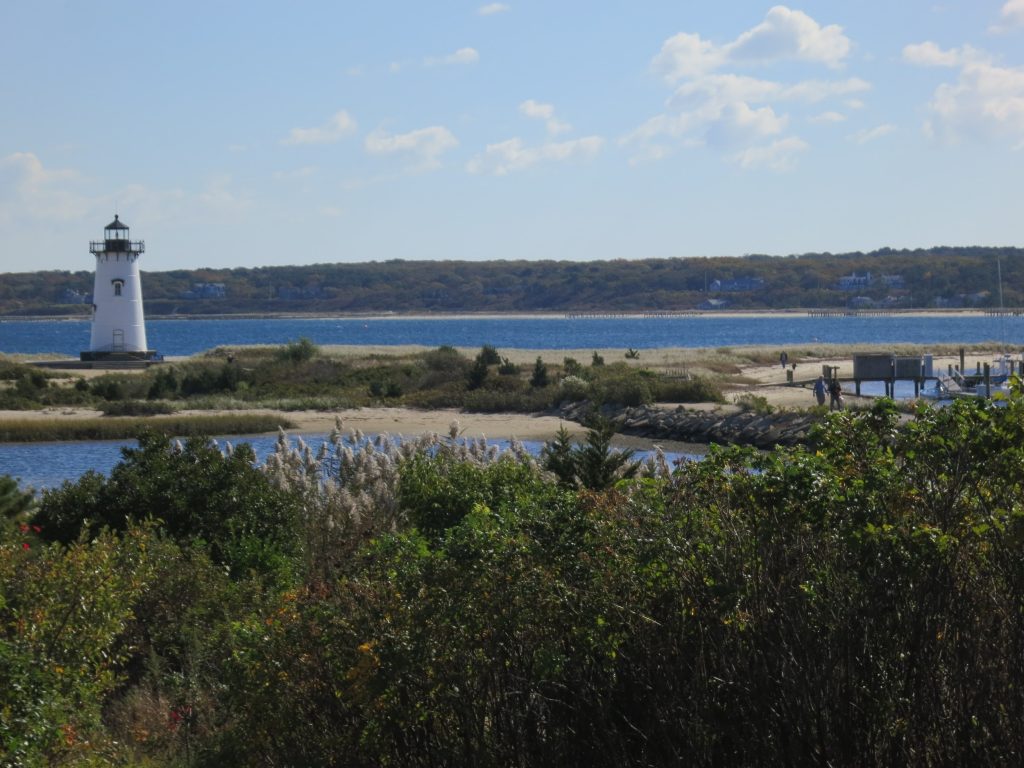 Lighthouse, vegetation and ocean